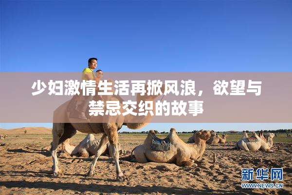 少妇激情生活再掀风浪，欲望与禁忌交织的故事