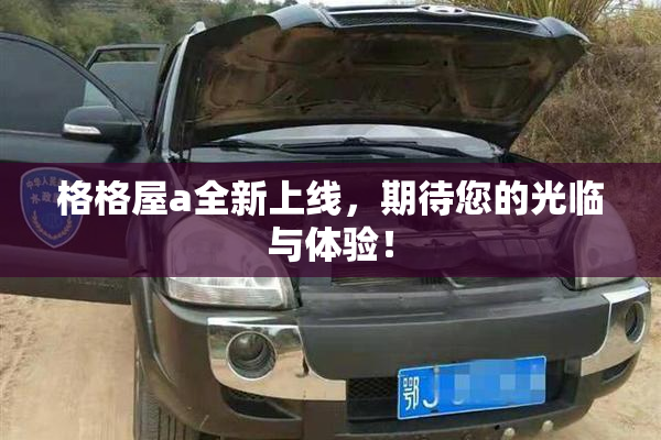 格格屋a全新上线，期待您的光临与体验！