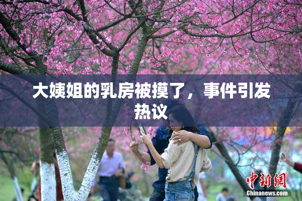大姨姐的乳房被摸了，事件引发热议