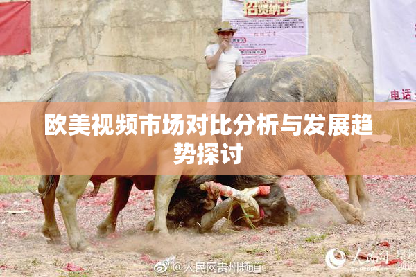 欧美视频市场对比分析与发展趋势探讨