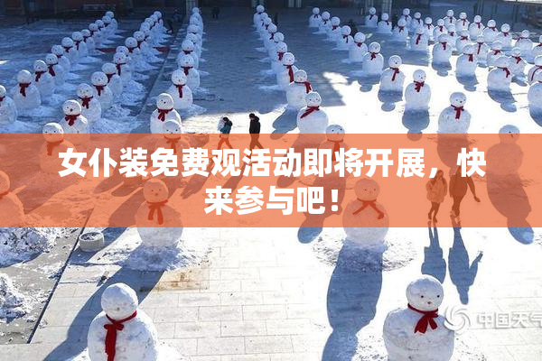 女仆装免费观活动即将开展，快来参与吧！