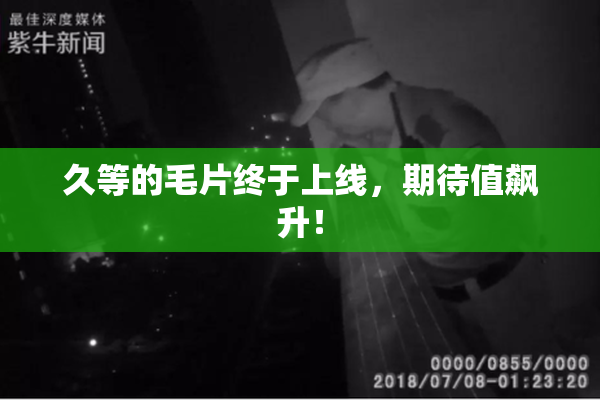 久等的毛片终于上线，期待值飙升！