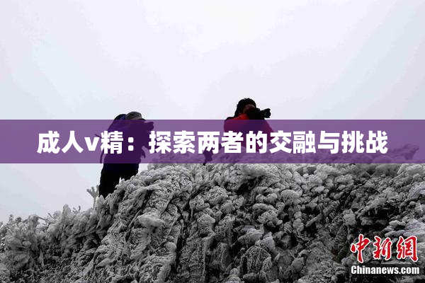 成人v精：探索两者的交融与挑战