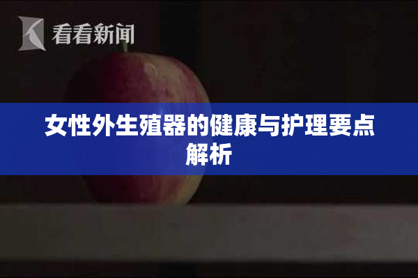 女性外生殖器的健康与护理要点解析