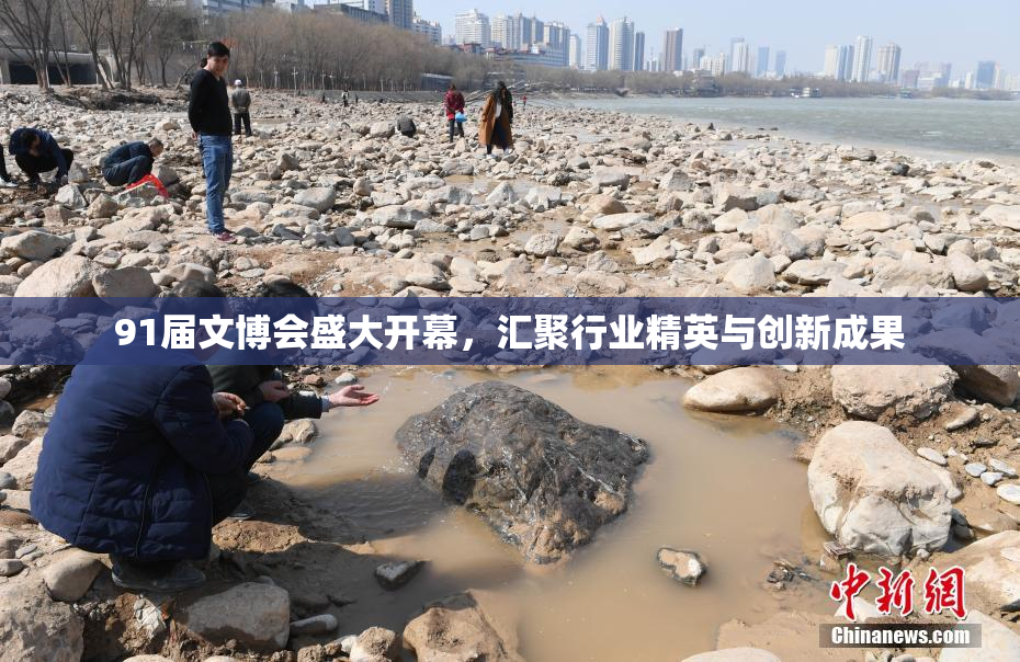 91届文博会盛大开幕，汇聚行业精英与创新成果