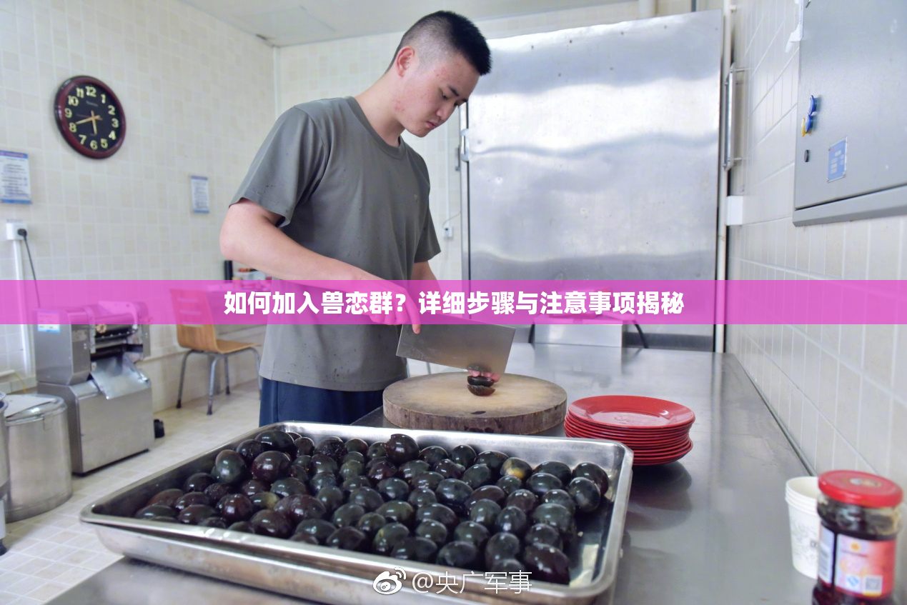 如何加入兽恋群？详细步骤与注意事项揭秘