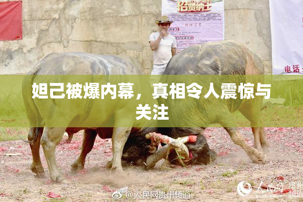妲己被爆内幕，真相令人震惊与关注