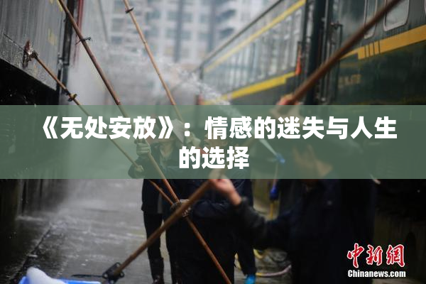 《无处安放》：情感的迷失与人生的选择