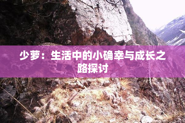 少萝：生活中的小确幸与成长之路探讨