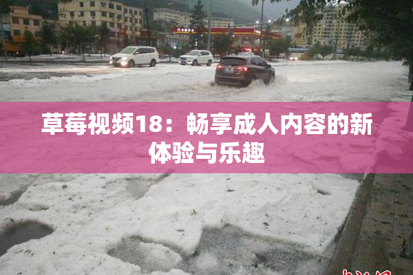 草莓视频18：畅享成人内容的新体验与乐趣