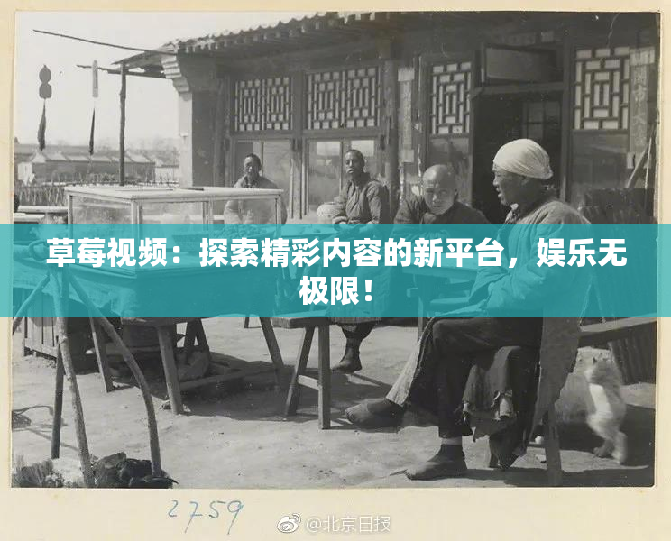 草莓视频：探索精彩内容的新平台，娱乐无极限！