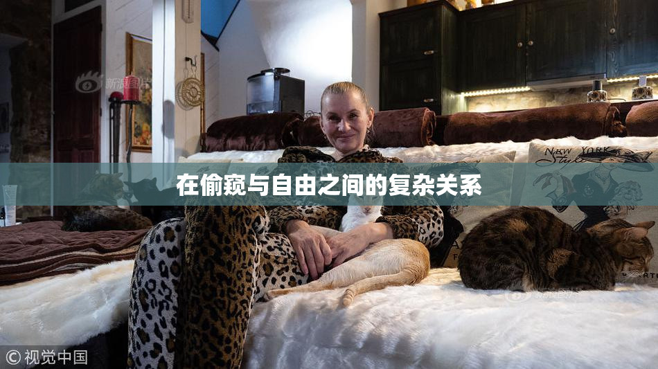 在偷窥与自由之间的复杂关系