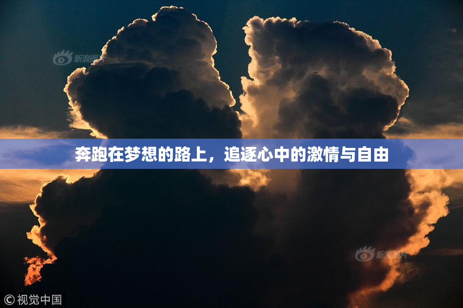 奔跑在梦想的路上，追逐心中的激情与自由