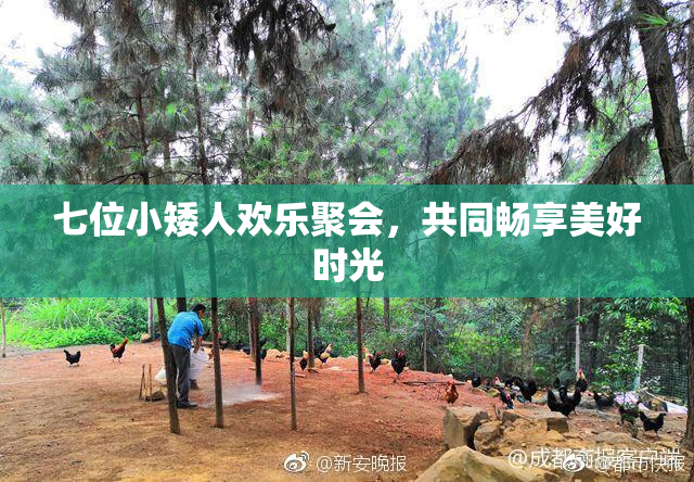 七位小矮人欢乐聚会，共同畅享美好时光