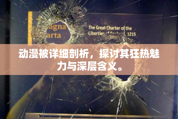 动漫被详细剖析，探讨其狂热魅力与深层含义。