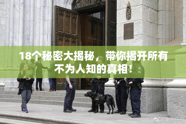 18个秘密大揭秘，带你揭开所有不为人知的真相！