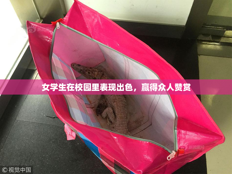 女学生在校园里表现出色，赢得众人赞赏