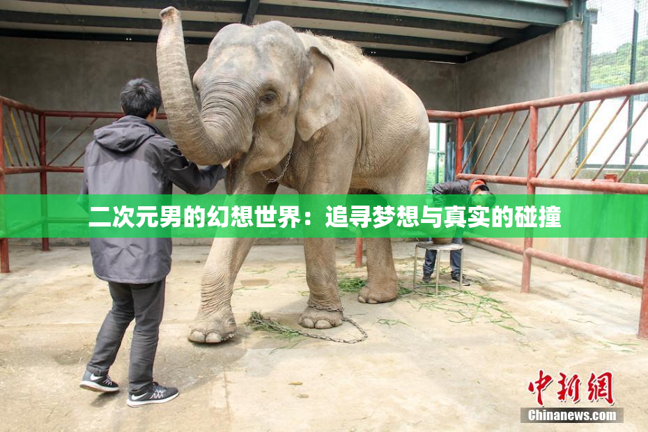 二次元男的幻想世界：追寻梦想与真实的碰撞