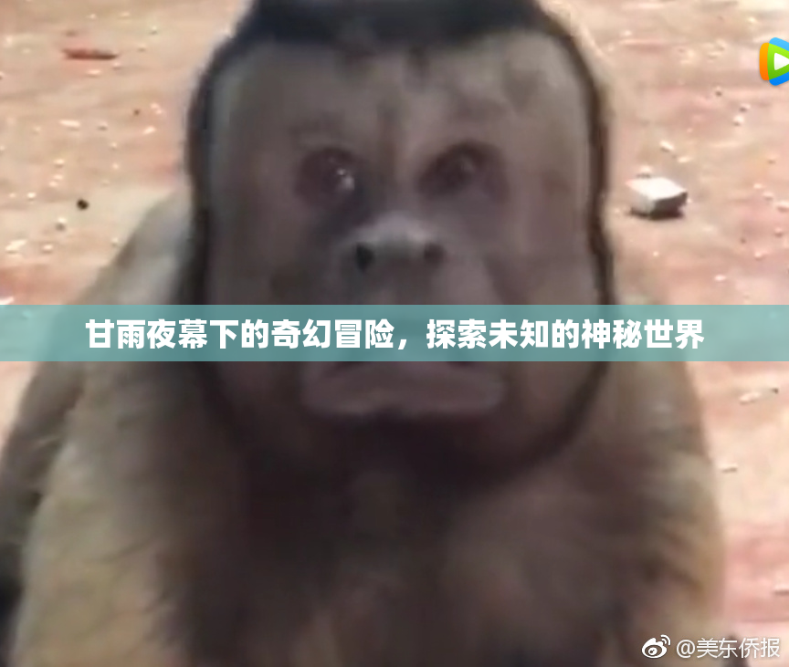 甘雨夜幕下的奇幻冒险，探索未知的神秘世界