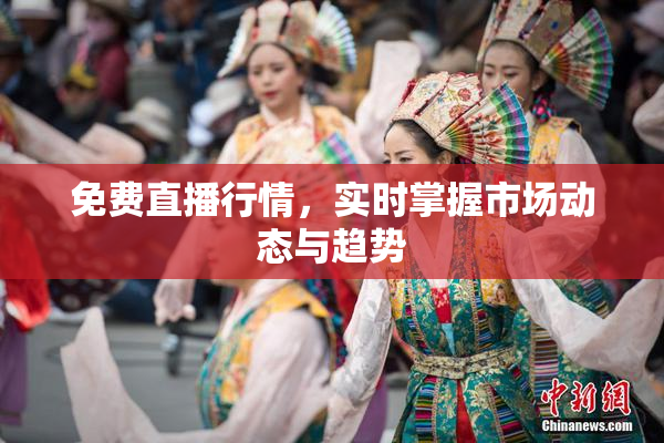 免费直播行情，实时掌握市场动态与趋势