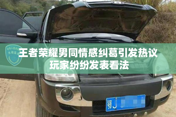 王者荣耀男同情感纠葛引发热议 玩家纷纷发表看法