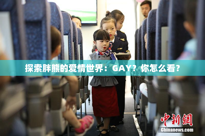 探索胖熊的爱情世界：GAY？你怎么看？