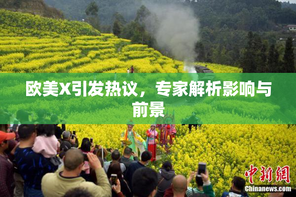 欧美X引发热议，专家解析影响与前景