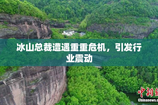 冰山总裁遭遇重重危机，引发行业震动