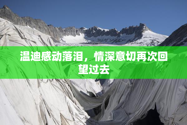 温迪感动落泪，情深意切再次回望过去