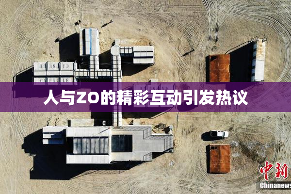 人与ZO的精彩互动引发热议