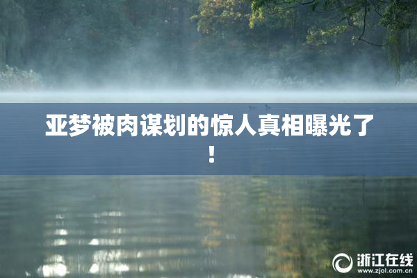 亚梦被肉谋划的惊人真相曝光了！