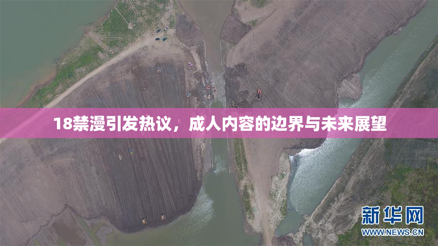 18禁漫引发热议，成人内容的边界与未来展望