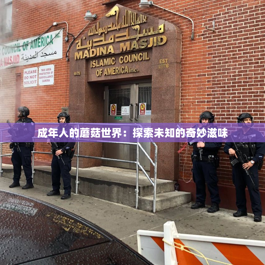 成年人的蘑菇世界：探索未知的奇妙滋味