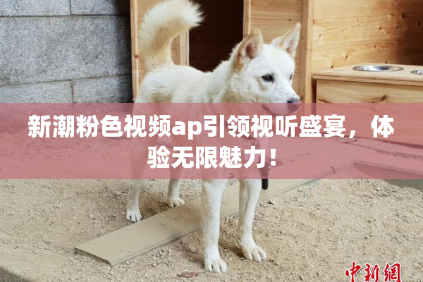 新潮粉色视频ap引领视听盛宴，体验无限魅力！