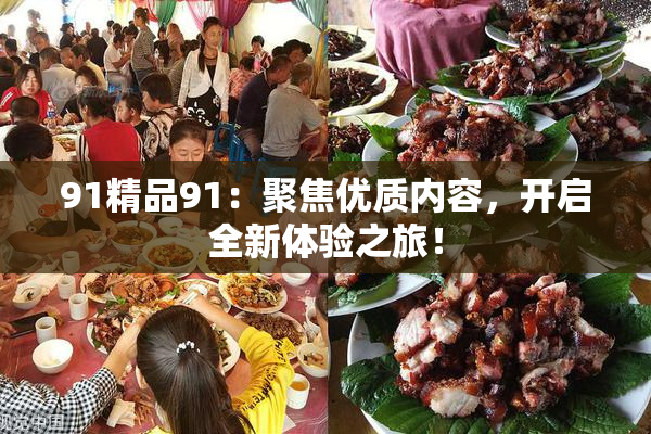 91精品91：聚焦优质内容，开启全新体验之旅！