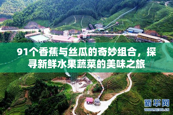 91个香蕉与丝瓜的奇妙组合，探寻新鲜水果蔬菜的美味之旅