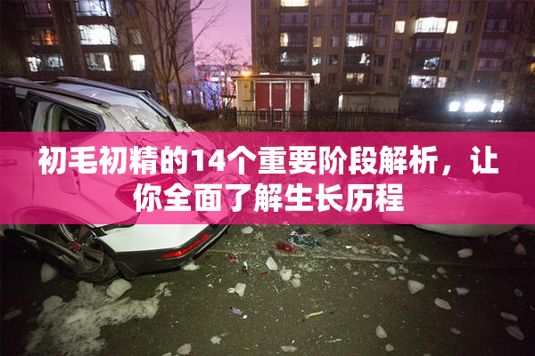初毛初精的14个重要阶段解析，让你全面了解生长历程