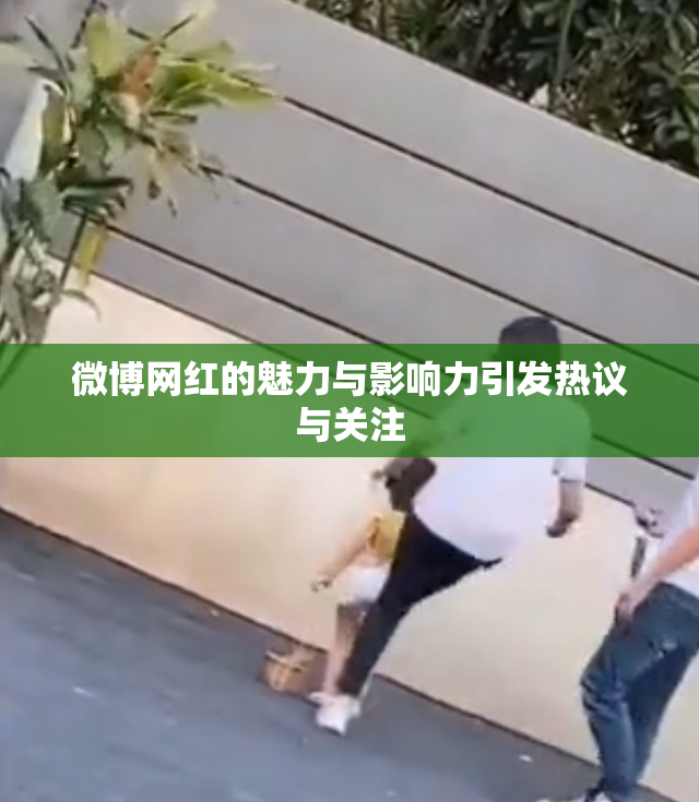 微博网红的魅力与影响力引发热议与关注