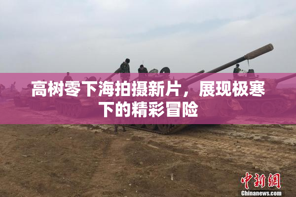 高树零下海拍摄新片，展现极寒下的精彩冒险