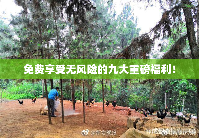 免费享受无风险的九大重磅福利！