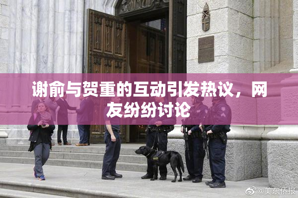 谢俞与贺重的互动引发热议，网友纷纷讨论