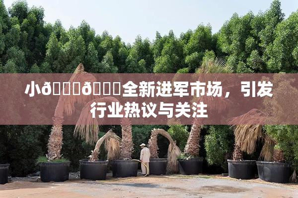小🐔🐔全新进军市场，引发行业热议与关注