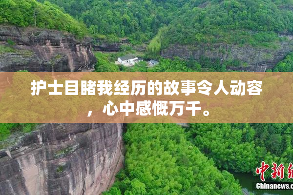 护士目睹我经历的故事令人动容，心中感慨万千。