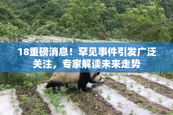 18重磅消息！罕见事件引发广泛关注，专家解读未来走势