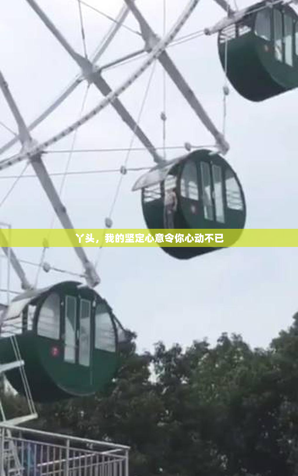 丫头，我的坚定心意令你心动不已