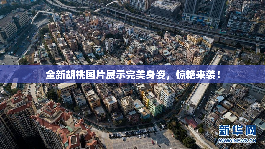 全新胡桃图片展示完美身姿，惊艳来袭！