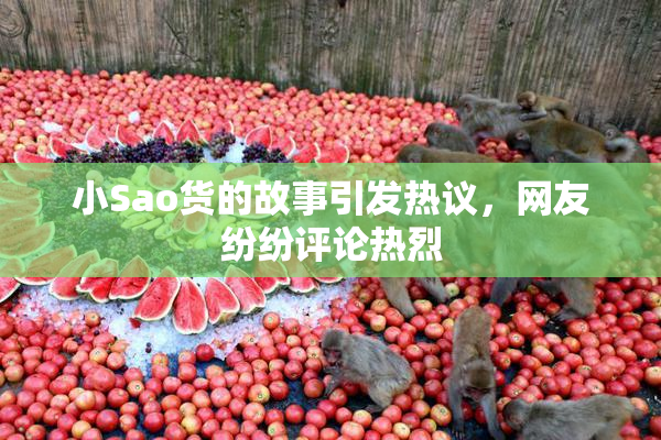 小Sao货的故事引发热议，网友纷纷评论热烈