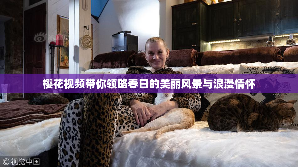 樱花视频带你领略春日的美丽风景与浪漫情怀