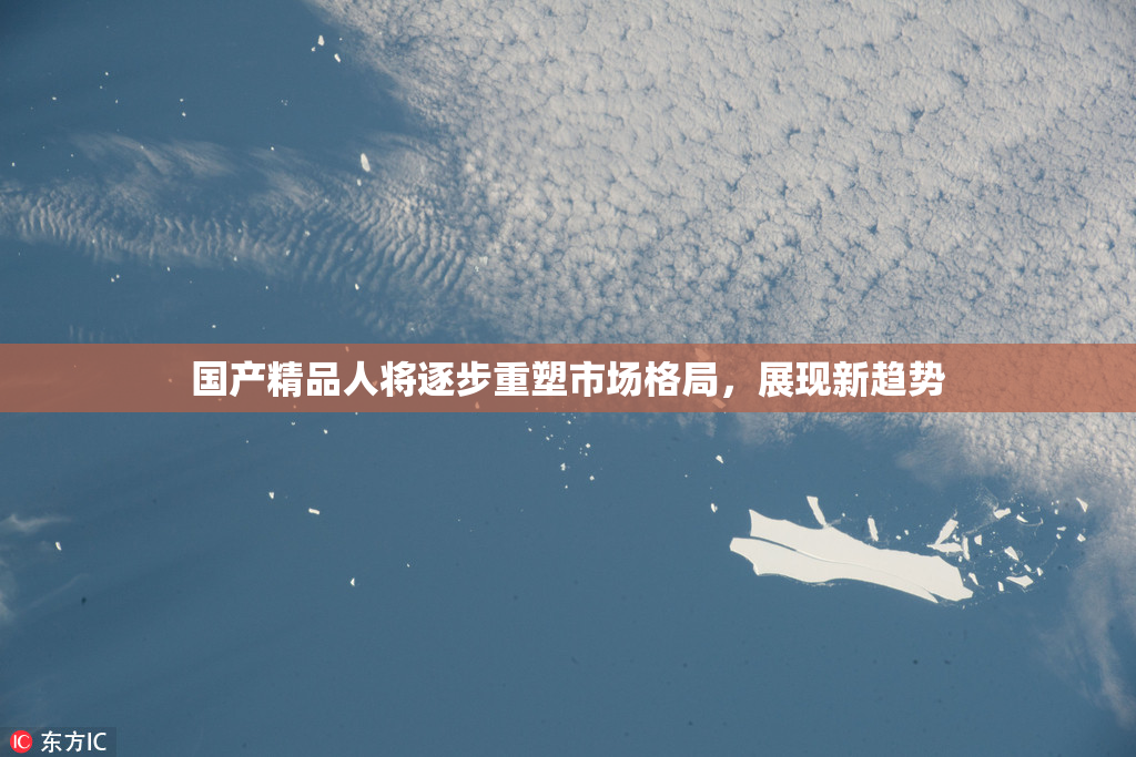 国产精品人将逐步重塑市场格局，展现新趋势