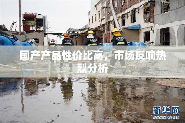 国产产品性价比高，市场反响热烈分析